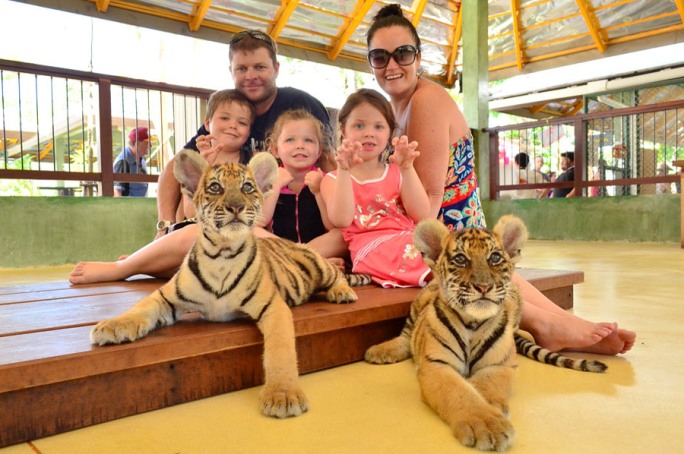 Что посмотреть с детьми на Пхукете, Тайланд - Королевство тигров