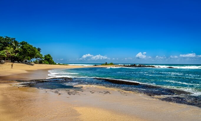 Шри-Ланка отзывы туристов 2024
